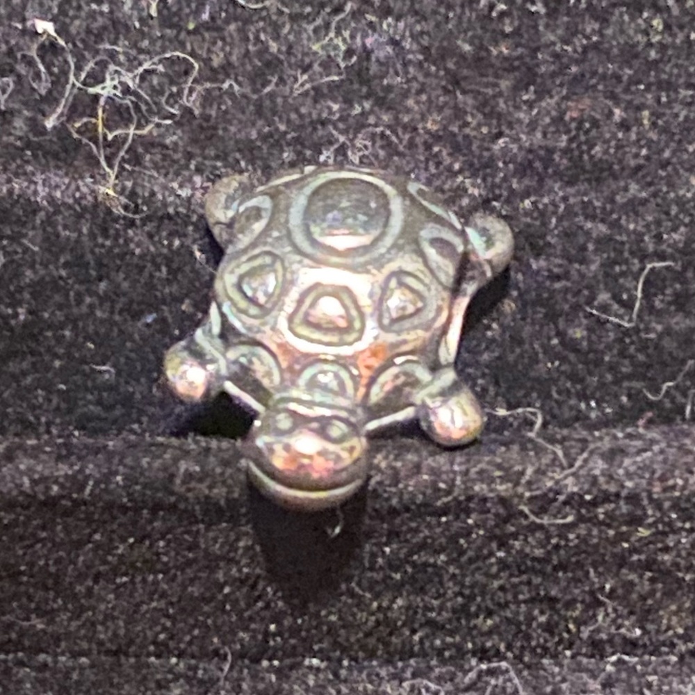 Pandora retired cute turtle - Picture 2 of 3